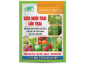 SIÊU NUÔI TRÁI LỚN TRÁI