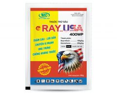 RAY USA 400WP
