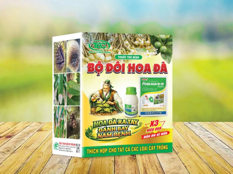 BỘ ĐÔI HOA ĐÀ