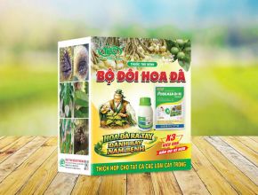 BỘ ĐÔI HOA ĐÀ