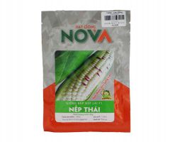 Hạt Giống Bắp nếp lai F1 Nếp Thái