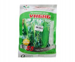 Hạt Giống Bắp Nếp Lai VH686