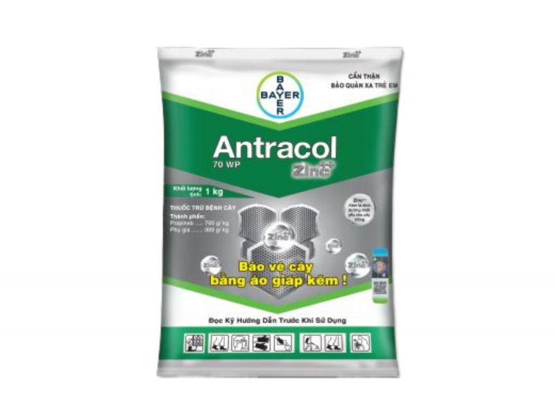 THUỐC TRỪ BỆNH - ANTRACOL 70WP