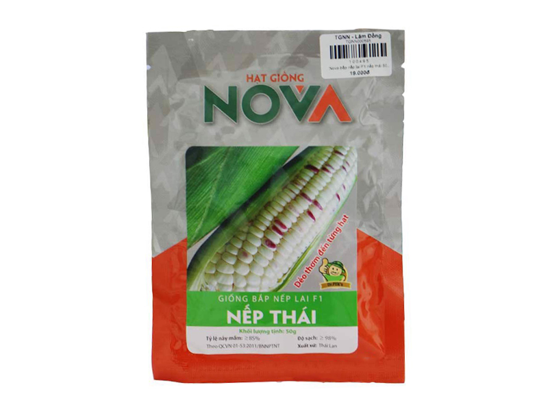 Hạt Giống Bắp nếp lai F1 Nếp Thái