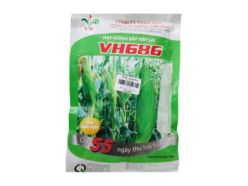 Hạt Giống Bắp Nếp Lai VH686